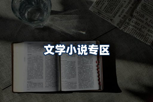 文学小说PDF展示